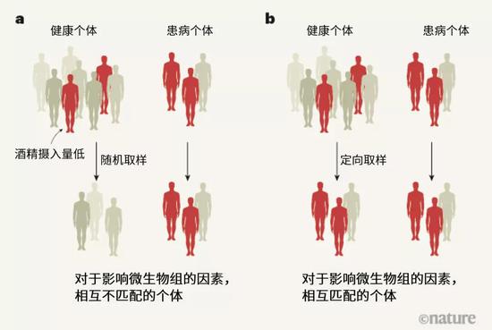 探索人體奧秘的新領域，最新窩窩人體研究揭秘人體奧秘