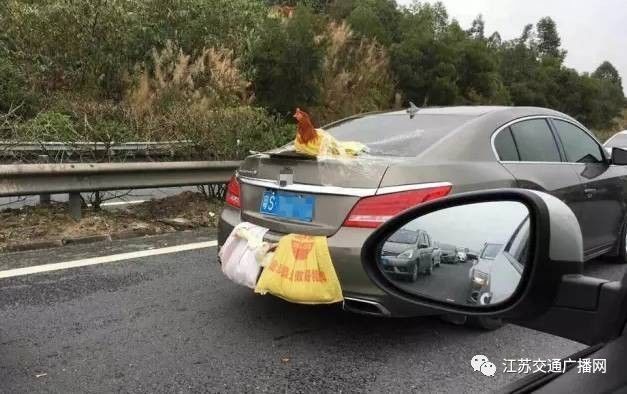 車主高速遇陪跑伙伴，雙閃告別顯真情