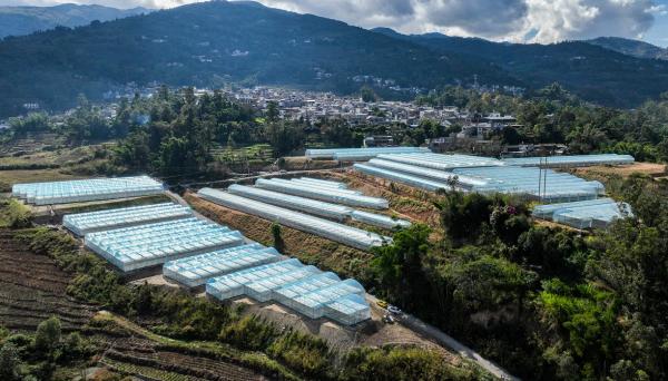 鳳慶縣概覽，最新消息與概述