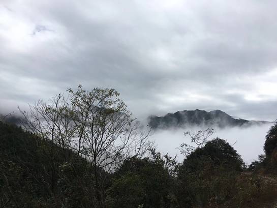 探索自然美景之旅，尋找內(nèi)心的平和與寧靜——Lu福利之旅的驚喜等待您！