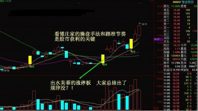 管家婆精準(zhǔn)一碼一肖預(yù)測，智能版高效規(guī)劃_FQD61.338升級版