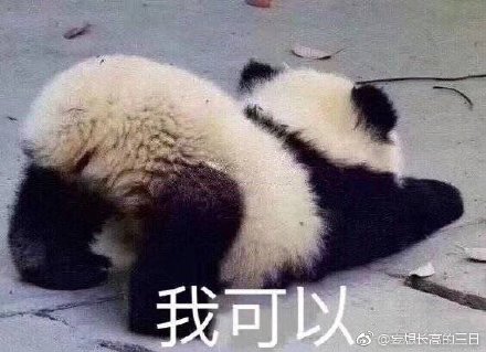 澳門今晚開門紅四不像圖，實時解讀動態(tài)_CFH23.879社交平臺