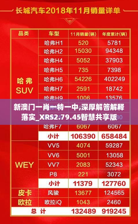 新澳門一肖一特一中,深厚解答解釋落實_XRS2.79.45智慧共享版