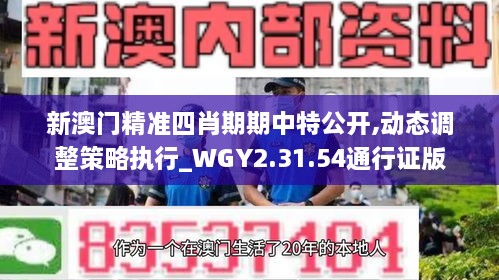 新澳門精準(zhǔn)四肖期期中特公開,動態(tài)調(diào)整策略執(zhí)行_WGY2.31.54通行證版