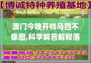 澳門今晚開特馬四不像圖,科學(xué)解答解釋落實_QMF6.76.53趣味版