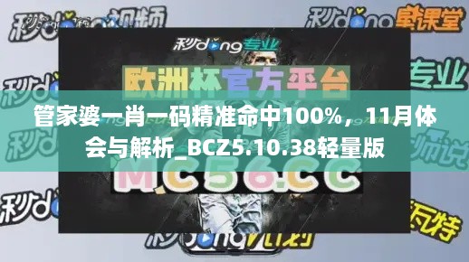 管家婆一肖一碼精準(zhǔn)命中100%，11月體會與解析_BCZ5.10.38輕量版