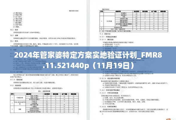 2024年管家婆特定方案實地驗證計劃_FMR8.11.521440p（11月19日）