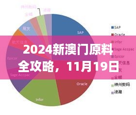 2024新澳門原料全攻略，11月19日專職解析實(shí)施_LXC6.23.35L版