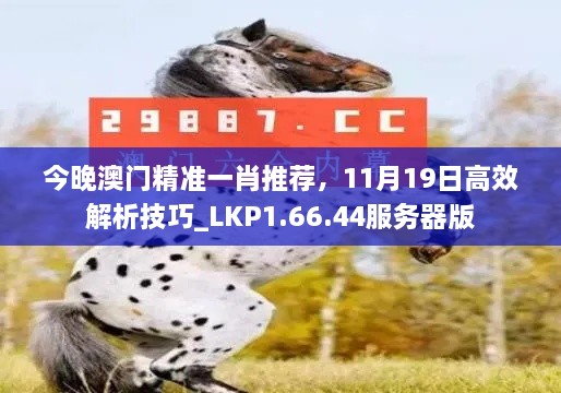 今晚澳門精準(zhǔn)一肖推薦，11月19日高效解析技巧_LKP1.66.44服務(wù)器版