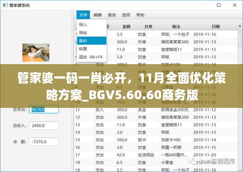 管家婆一碼一肖必開，11月全面優(yōu)化策略方案_BGV5.60.60商務(wù)版