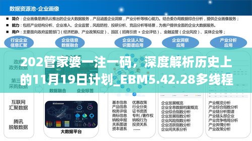 202管家婆一注一碼，深度解析歷史上的11月19日計劃_EBM5.42.28多線程版本