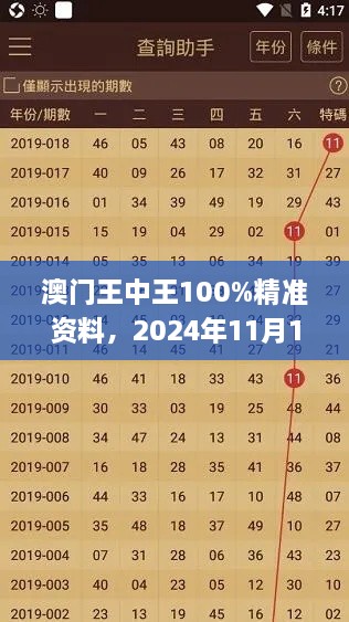 澳門王中王100%精準資料，2024年11月19日可視化管理方案_RNM1.66.77私密版