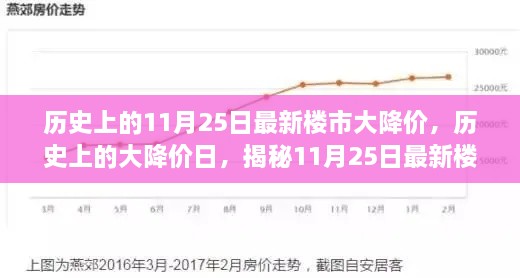 歷史上的11月25日最新樓市大降價(jià)，歷史上的大降價(jià)日，揭秘11月25日最新樓市降價(jià)真相