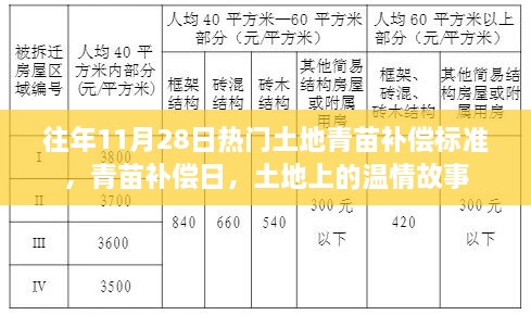 往年11月28日熱門話題，土地青苗補(bǔ)償標(biāo)準(zhǔn)與溫情故事回顧