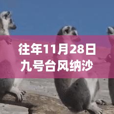 揭秘往年臺(tái)風(fēng)納沙最新動(dòng)態(tài)，前沿科技與智能風(fēng)暴的魅力展現(xiàn)