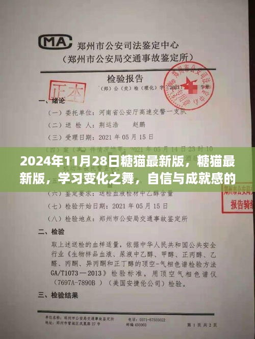 2024年11月28日糖貓最新版，糖貓最新版，學(xué)習(xí)變化之舞，自信與成就感的魔法之旅