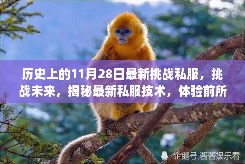 揭秘最新私服技術(shù)，挑戰(zhàn)未來，體驗(yàn)前所未有的11月28日私服盛宴