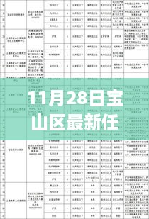 11月28日寶山區(qū)干部任免更新，流程詳解與操作指南