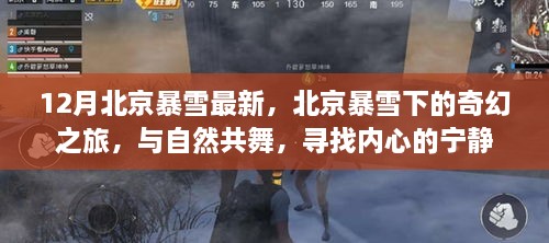 北京暴雪下的奇幻之旅，與自然共舞，探尋內(nèi)心寧?kù)o的旅程