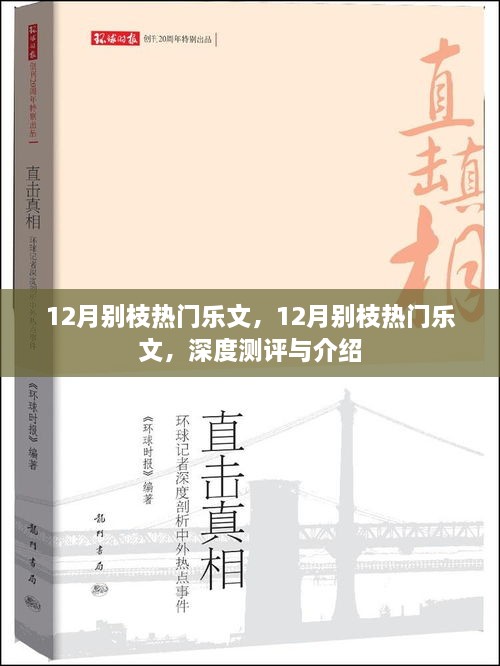 深度測(cè)評(píng)與介紹，12月別枝熱門樂(lè)文