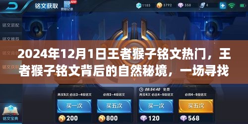王者猴子銘文背后的自然秘境，尋找內(nèi)心平靜的奇妙之旅開(kāi)啟于2024年12月1日