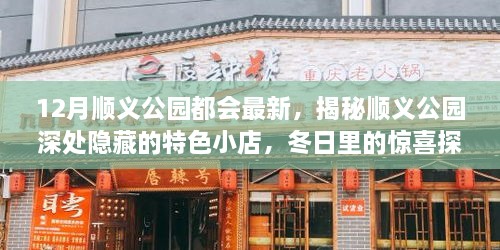 順義公園深處隱藏的特色小店，冬日驚喜探索之旅揭秘最新動(dòng)態(tài)
