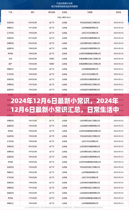 2024年12月6日最新小常識一覽，日常生活中的新奇知識匯總