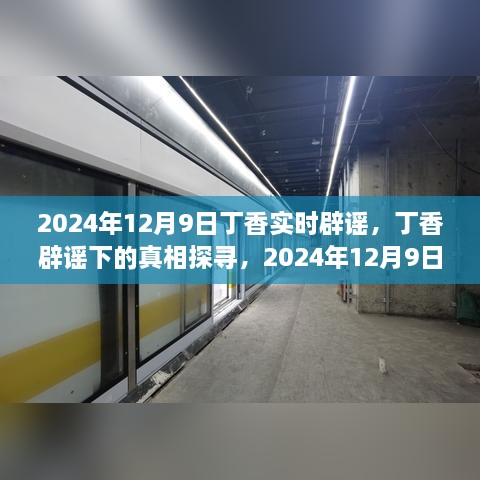 2024年視角下的丁香實(shí)時(shí)辟謠，探尋真相之旅