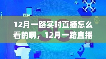 12月直播盛宴，如何實時觀看直播節(jié)目指南