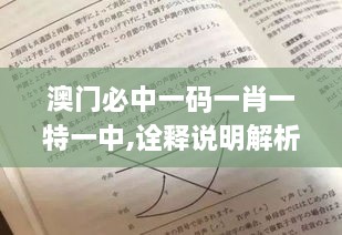 澳門必中一碼一肖一特一中,詮釋說明解析_運(yùn)動(dòng)版8.490