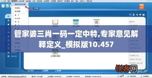 管家婆三肖一碼一定中特,專家意見解釋定義_模擬版10.457