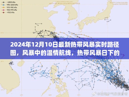 2024年熱帶風(fēng)暴實時路徑圖，風(fēng)暴中的溫情旅程與特殊旅程揭秘