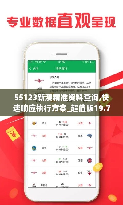 55123新澳精準(zhǔn)資料查詢,快速響應(yīng)執(zhí)行方案_超值版19.705