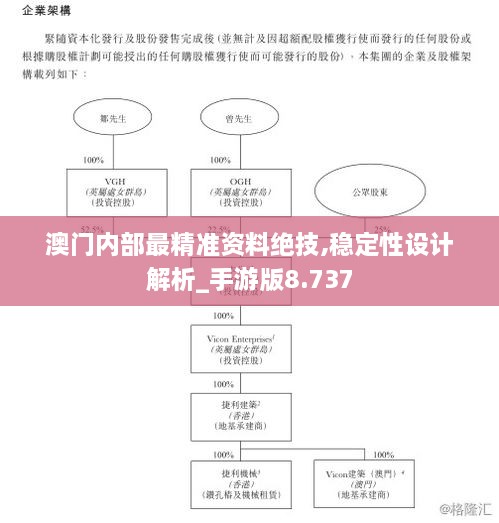 澳門內(nèi)部最精準(zhǔn)資料絕技,穩(wěn)定性設(shè)計解析_手游版8.737