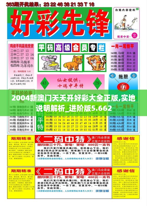 2004新澳門天天開好彩大全正版,實地說明解析_進階版5.662