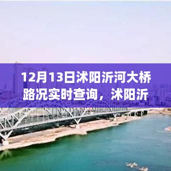 沭陽沂河大橋實時路況深度解析，影響與價值探討