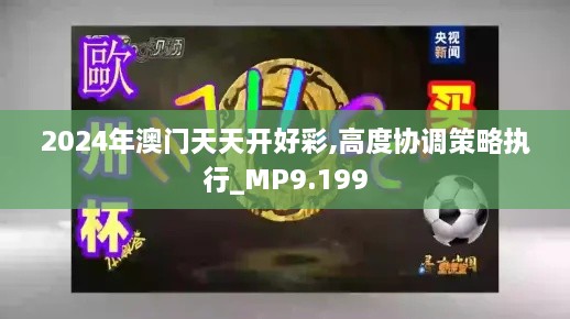 2024年澳門天天開好彩,高度協(xié)調策略執(zhí)行_MP9.199