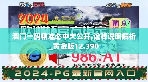 澳門一碼精準必中大公開,詮釋說明解析_黃金版12.390