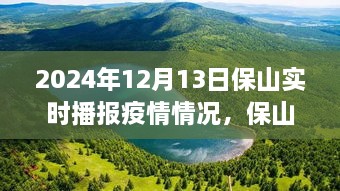 保山疫情實(shí)時(shí)播報(bào)與美景之旅，心靈避風(fēng)港，啟程尋找內(nèi)心寧?kù)o與奇跡之旅（XXXX年XX月XX日）