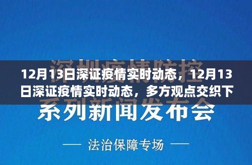 多方觀點交織下的洞察與反思，12月13日深證疫情實時動態(tài)分析