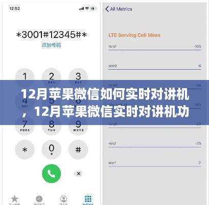 12月蘋果微信實(shí)時(shí)對(duì)講機(jī)功能使用指南，步驟詳解與操作技巧