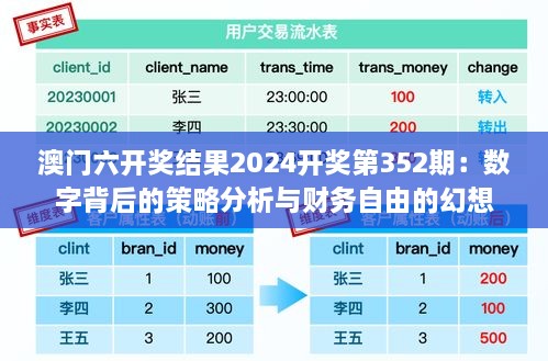 澳門六開(kāi)獎(jiǎng)結(jié)果2024開(kāi)獎(jiǎng)第352期：數(shù)字背后的策略分析與財(cái)務(wù)自由的幻想