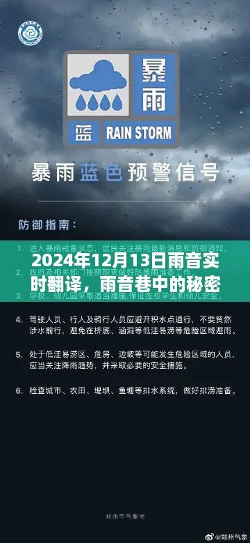 雨音巷的秘密寶藏，實(shí)時(shí)翻譯小店的傳奇故事（2024年12月13日）