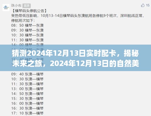 揭秘未來之旅，啟程尋找內(nèi)心的寧靜與平和——2024年12月13日自然美景配卡猜想