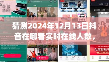 未來視野之旅，揭秘2024年抖音實時在線人數(shù)盛況——家庭日，在線情緣的見證