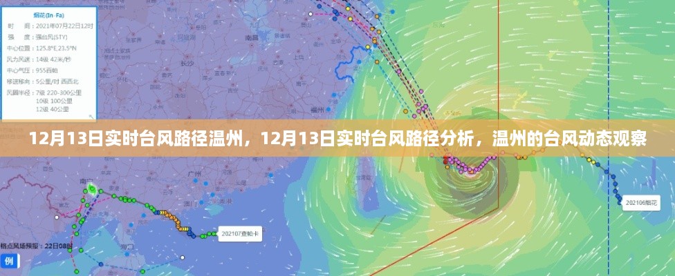 12月13日溫州臺風(fēng)路徑實時分析，最新動態(tài)與觀察報告