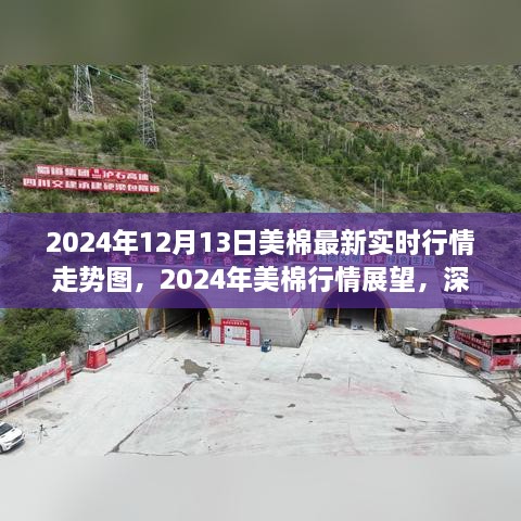 深度解析，2024年美棉行情展望與實(shí)時(shí)走勢圖背后的爭議