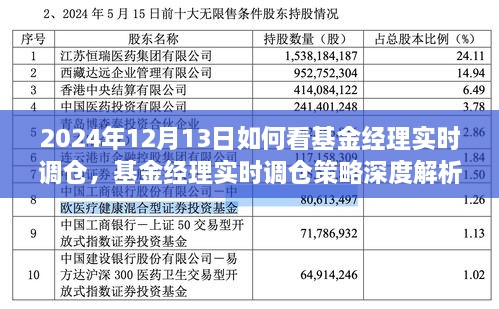 基金經(jīng)理實時調(diào)倉深度解析，洞悉策略與投資機(jī)會（2024年12月13日投資洞察）