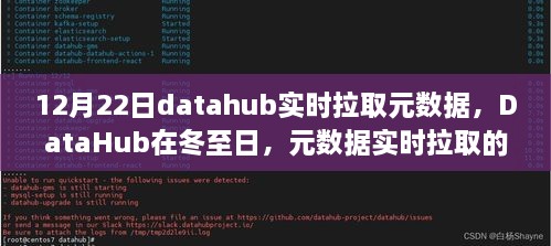 冬至日DataHub元數(shù)據(jù)實(shí)時(shí)拉取的進(jìn)化之路與時(shí)代影響解析