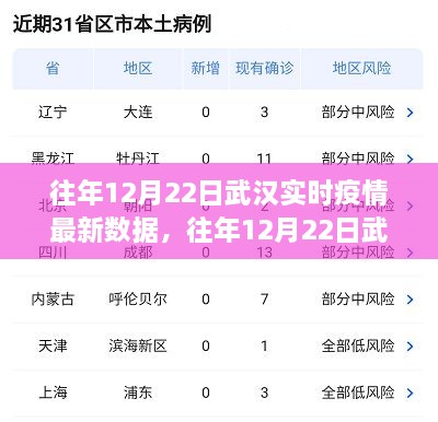 往年12月22日武漢實時疫情數(shù)據(jù)深度解析，特性、體驗、競品對比及用戶群體分析報告
